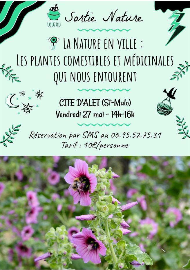 Sortie nature Cité d'alet 27mai2022