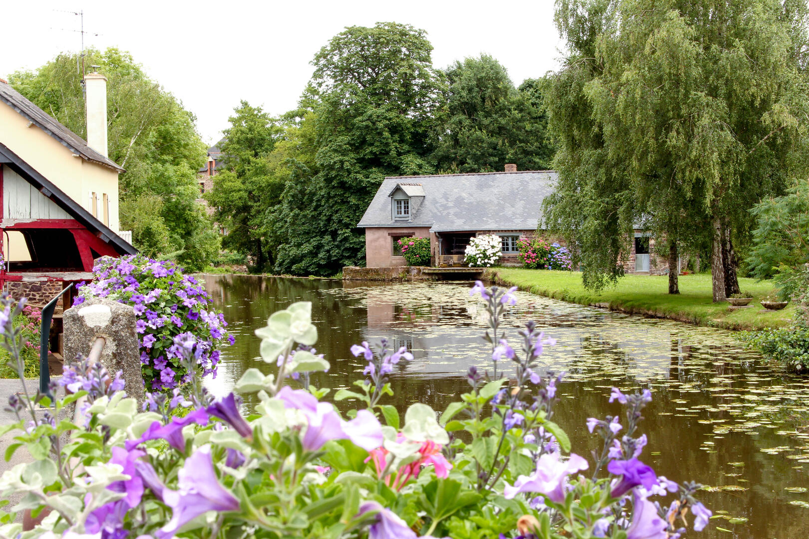 Le moulin des planches à Montfort sur Meu