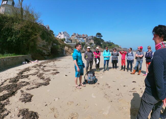 Visite algues Saint-Lunaire