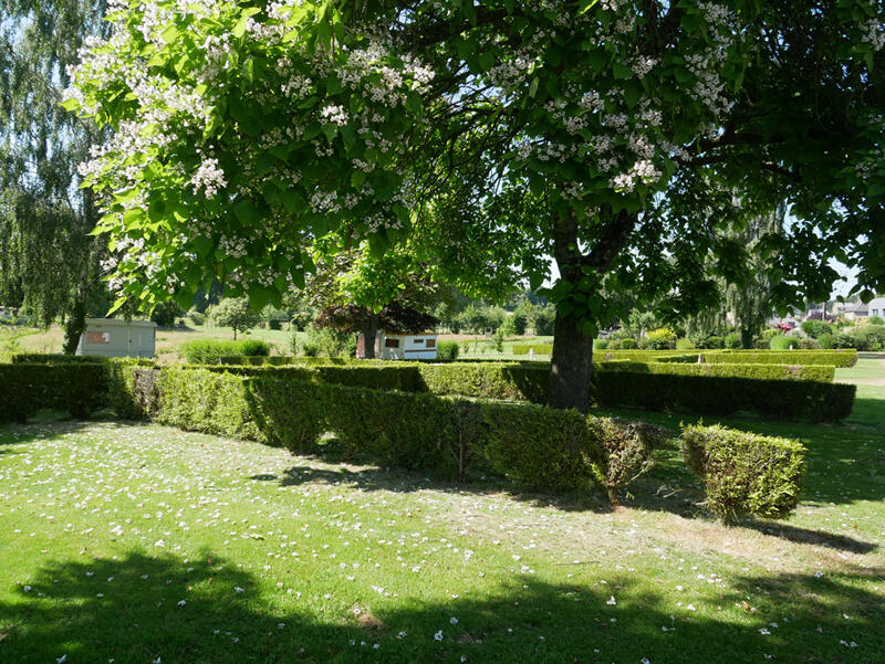 camping-municipal-louvigne-du-desert-villedelouvignedudesert