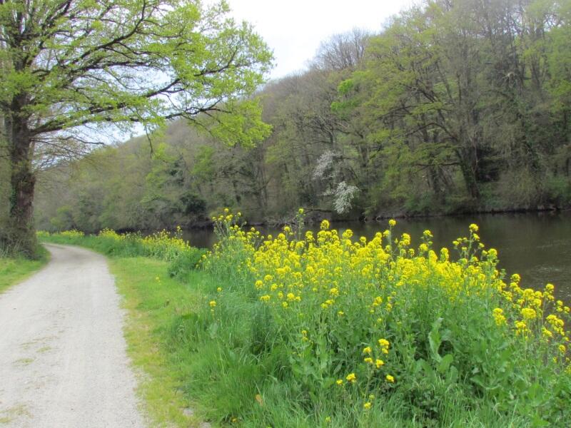 chemin de halage le long de la Vilaine