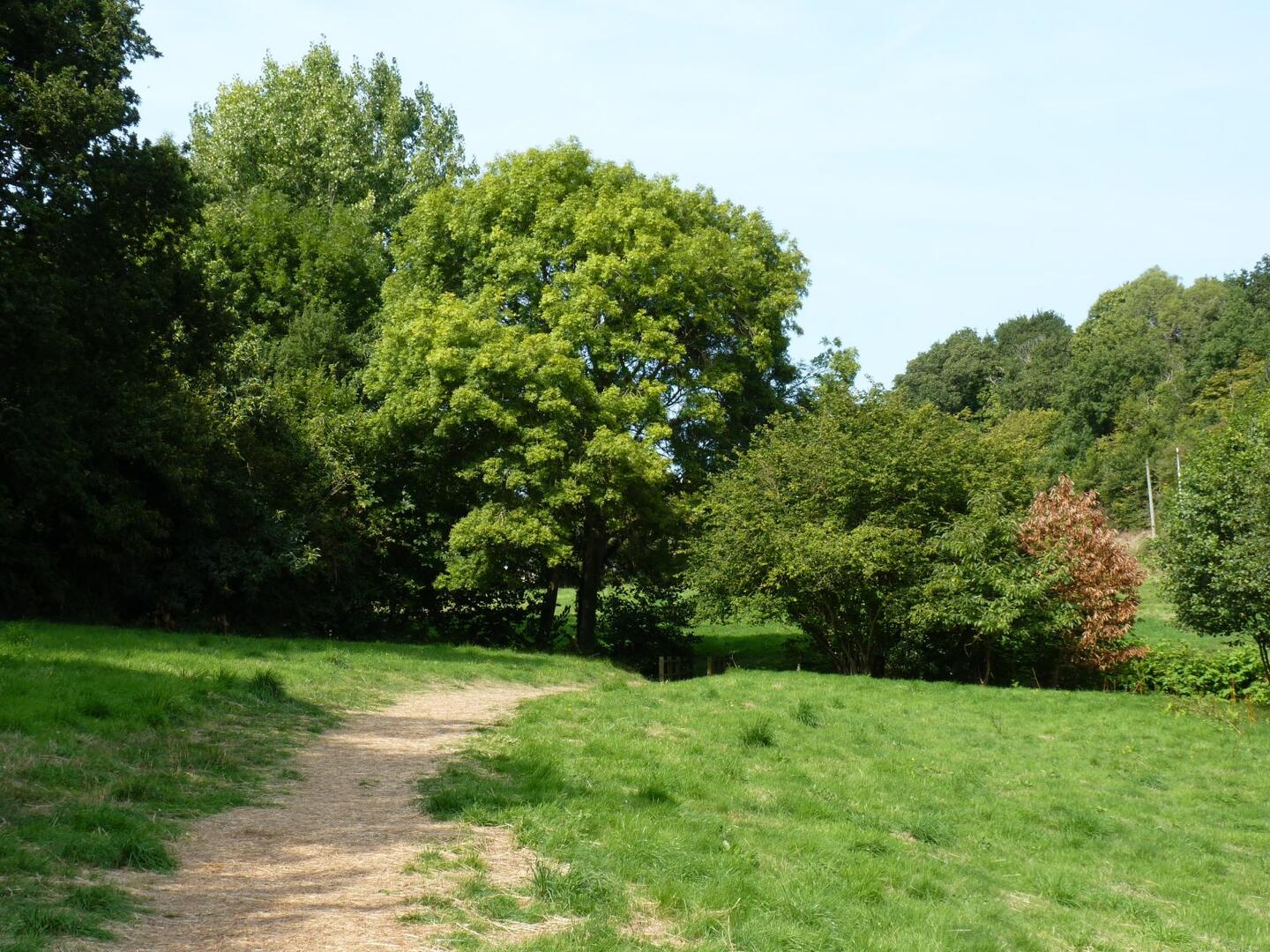Vallée de l'Amitié