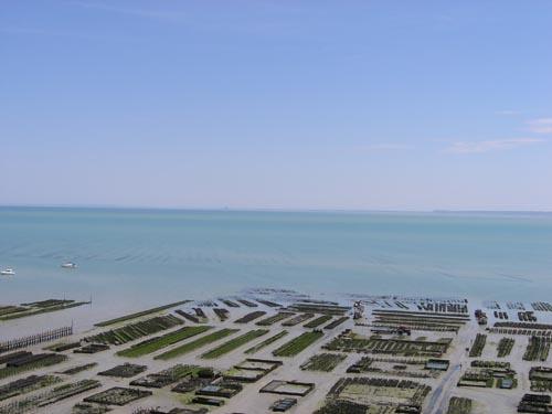 la perle de Cancale