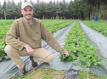 Visite chez les producteurs