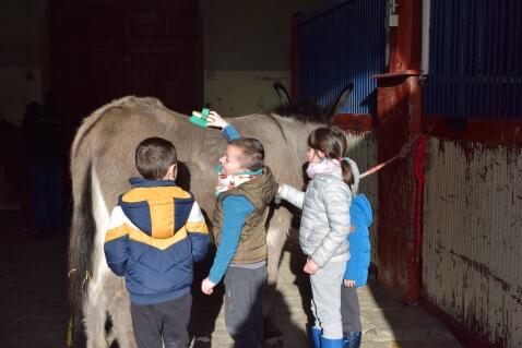 matinee du haras