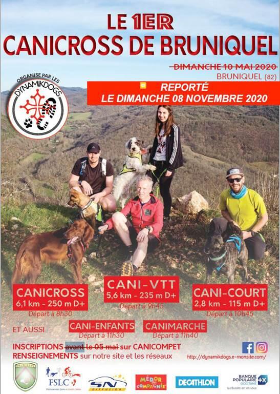 Canicross