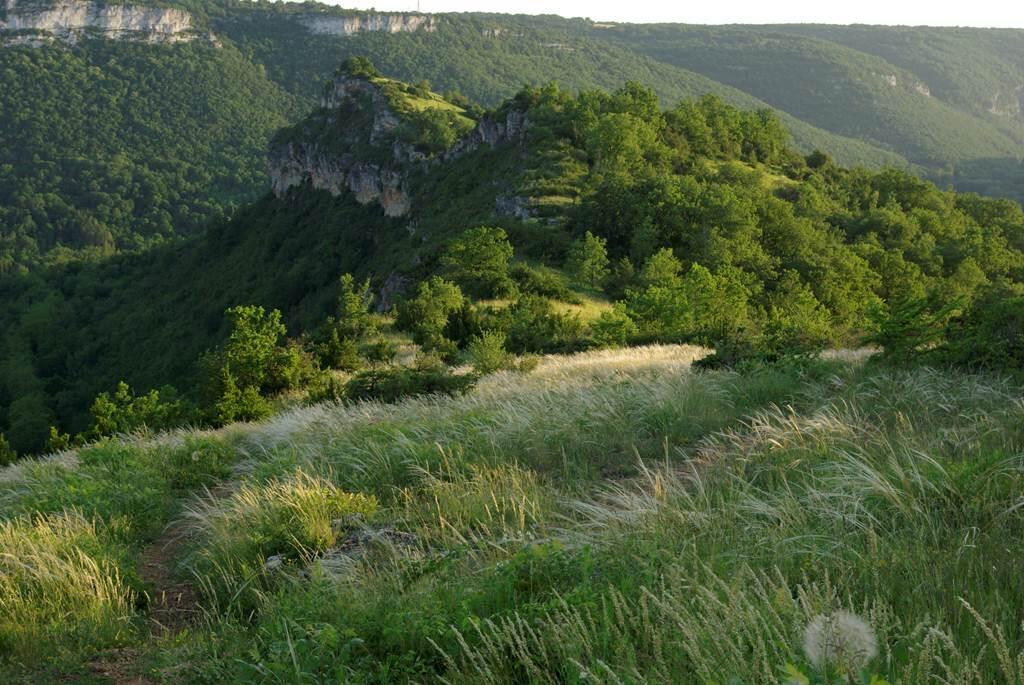 Sortie nature Roc Deymié