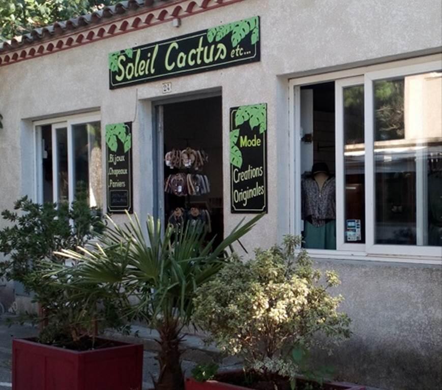 Soleil, cactus... etc