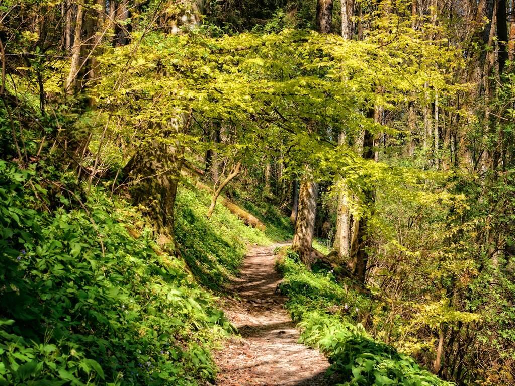 Parcours athlénature