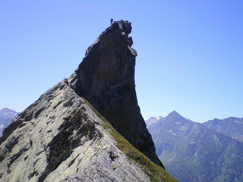 dent orlu