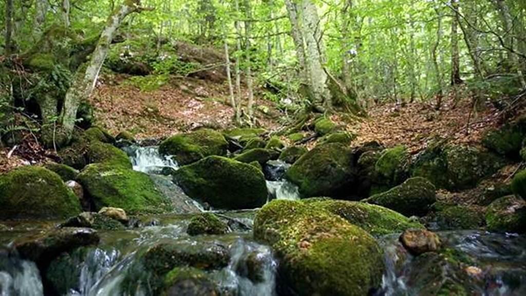 ruisseau