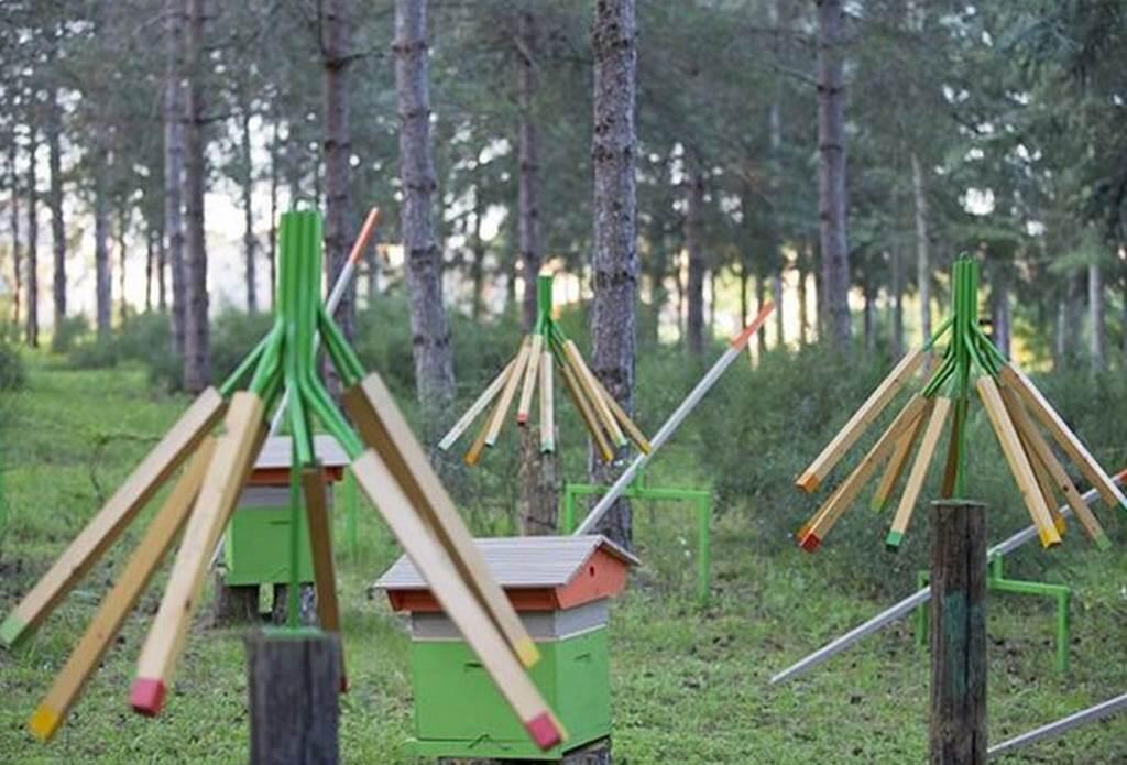 Le Bois de Montrosiès