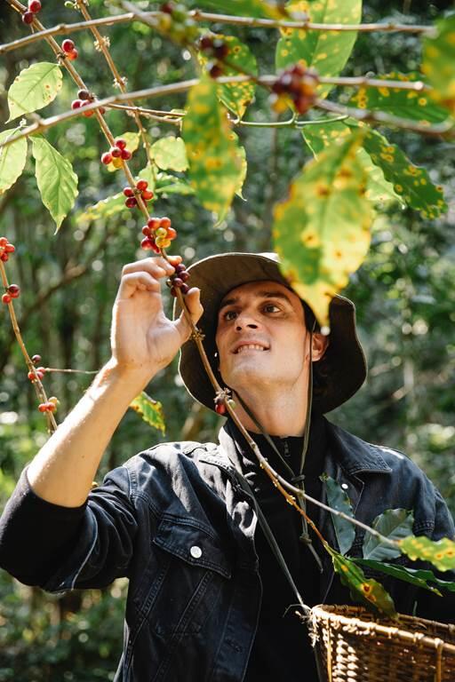 Les plantes qui soignent