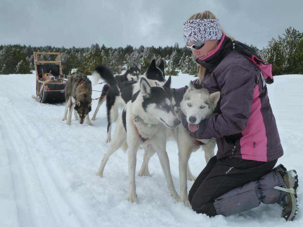 husky evasion