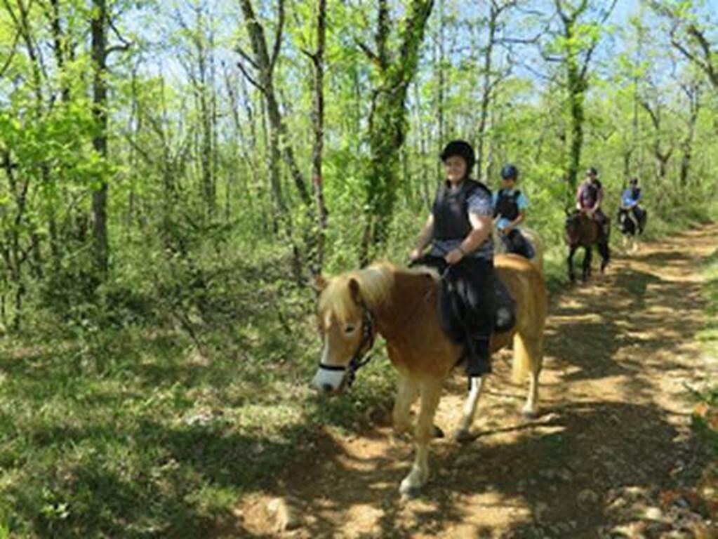 Equitation