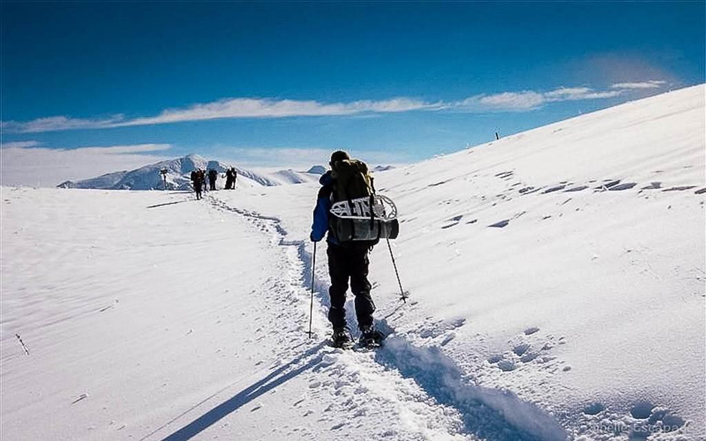 Raquettes à neige
