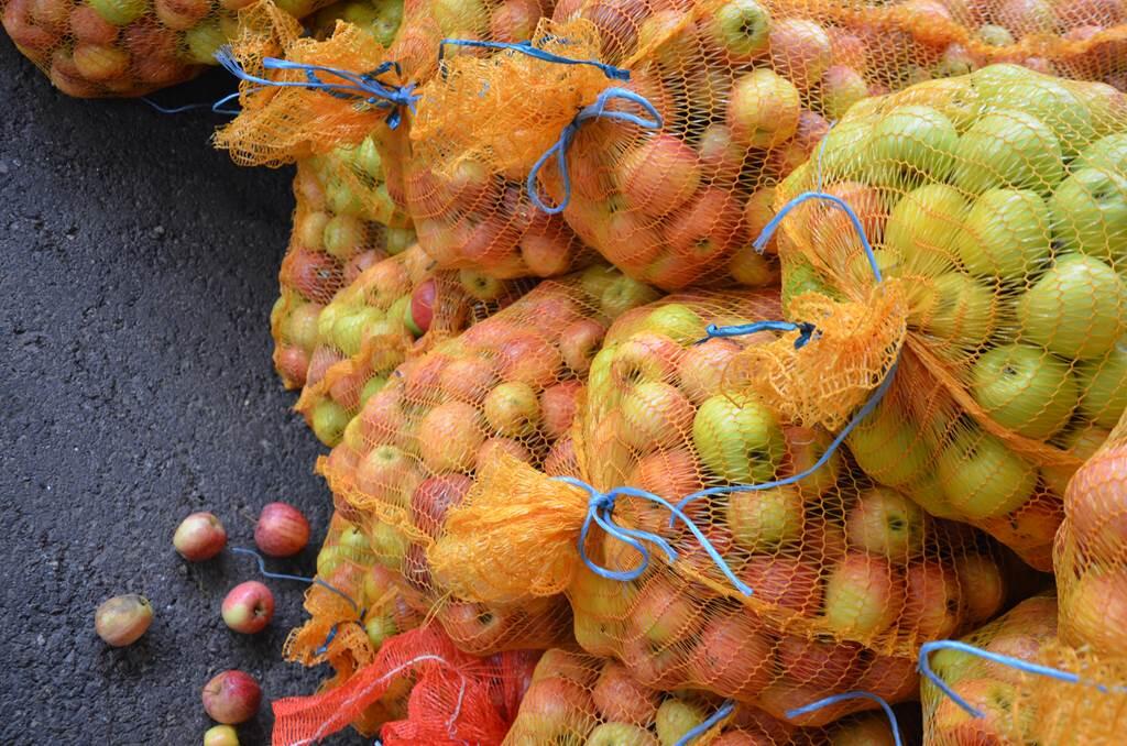 Variété Locales 12