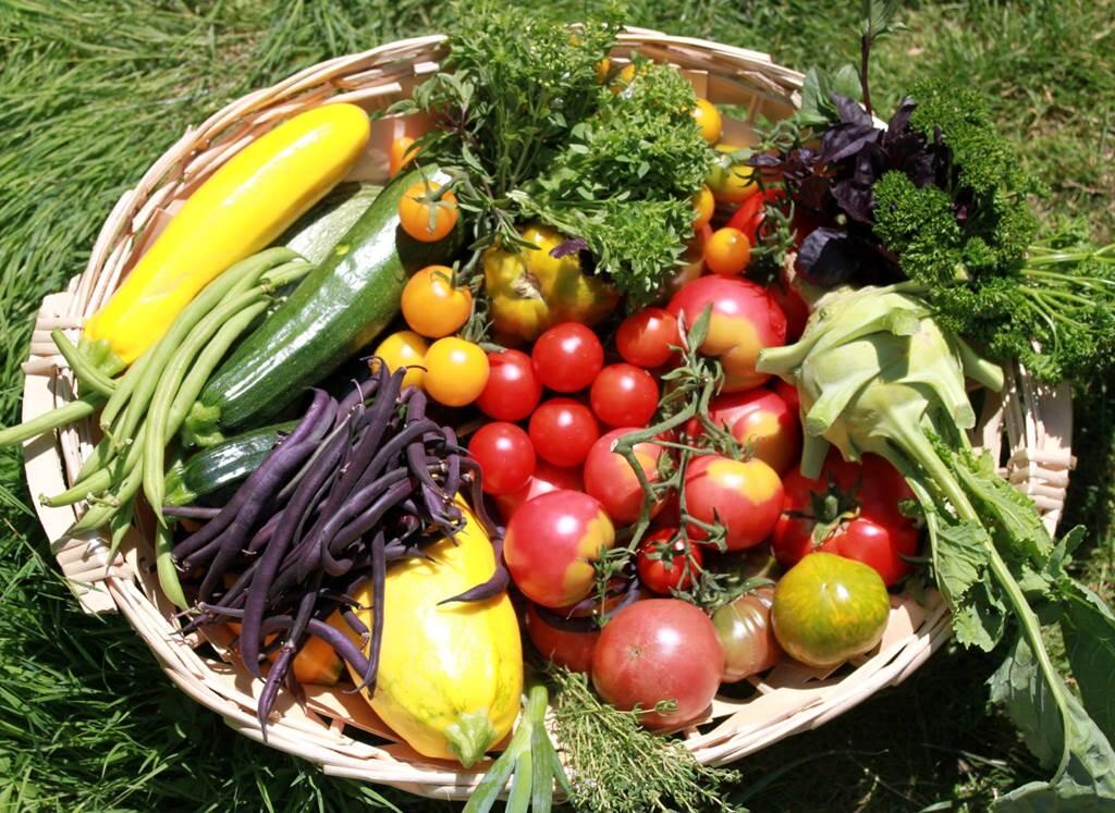 La binette et le rateau