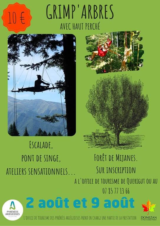 grimp arbre