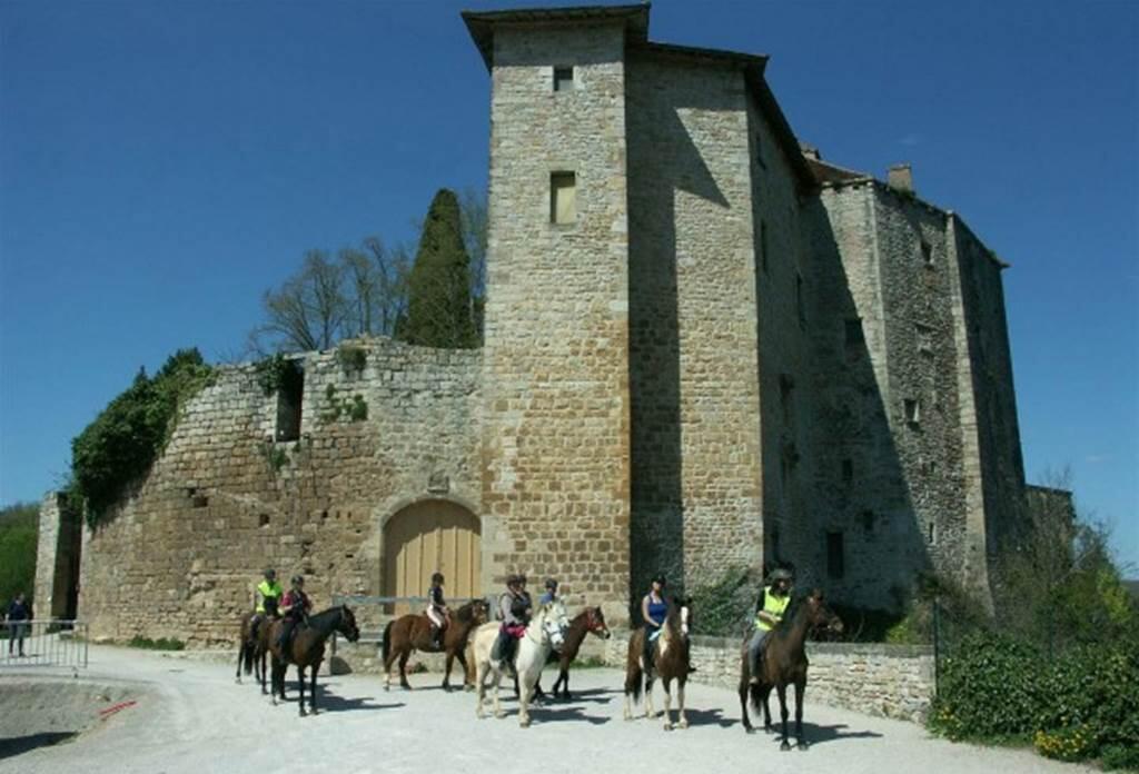 Randonnée équestre