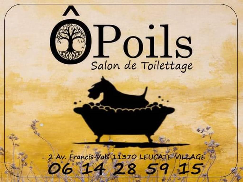 o poil