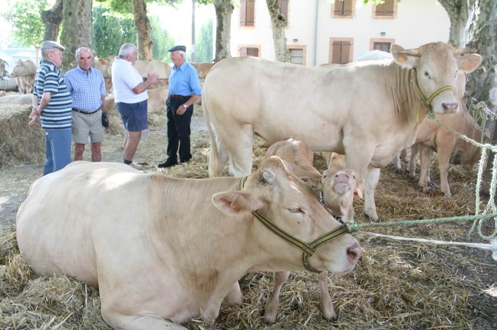 Comice agricole