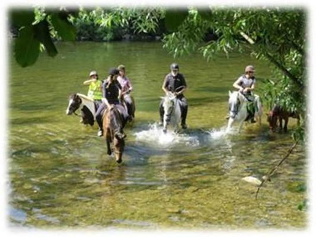 Equitation