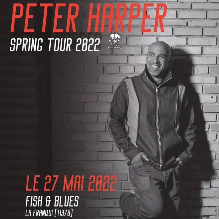 Concert au Fish and Blues