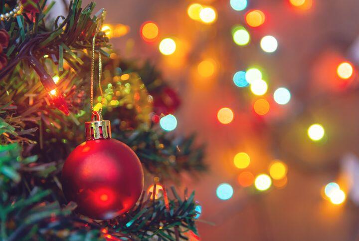713915_noel