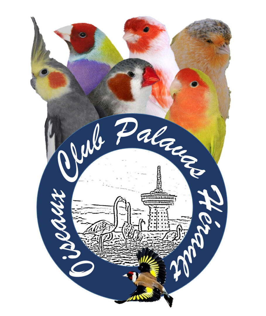 718485_logo_oiseaux
