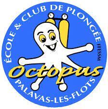 719772_octopus_palavas
