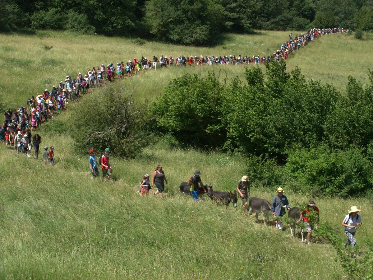 Marche du sel