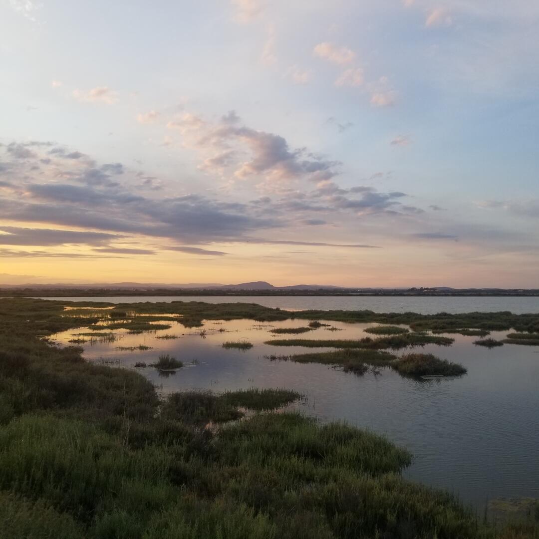 Etangs 26_Cveyron_2021