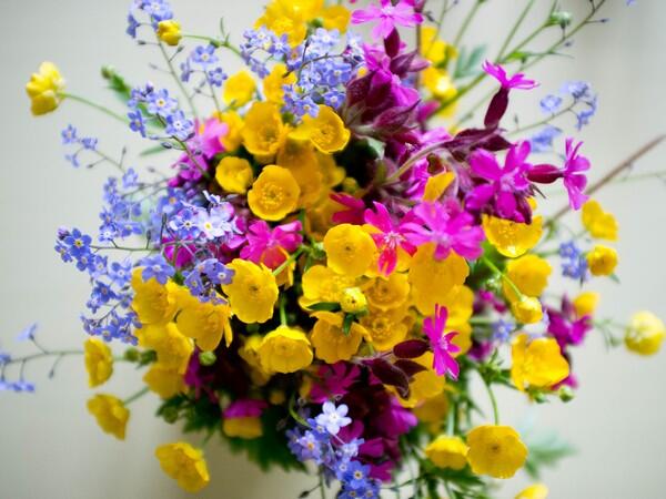 FLEURS