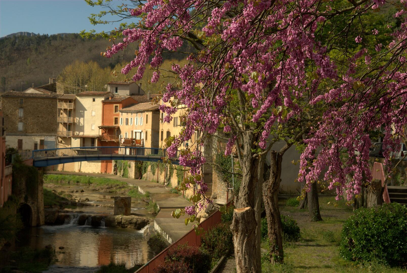 Rivière Sals village_Rennes-les-Bains