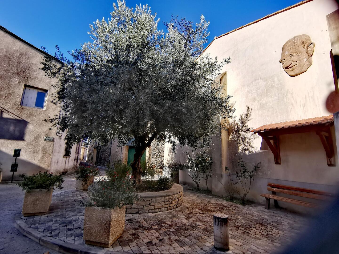 Village de Pieusse _ PNA_PCU_© Anne Sanchez (8)