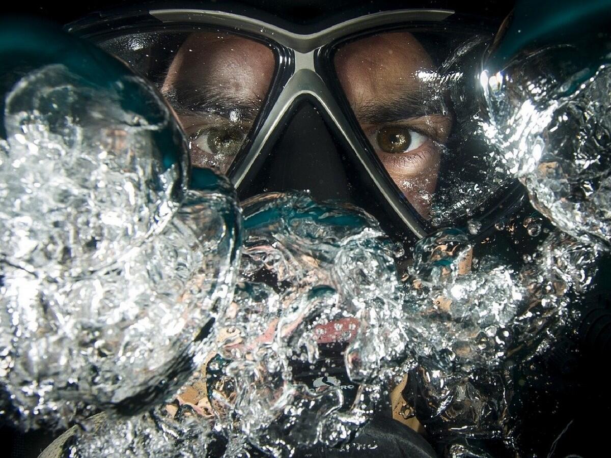 diver-666728_1280