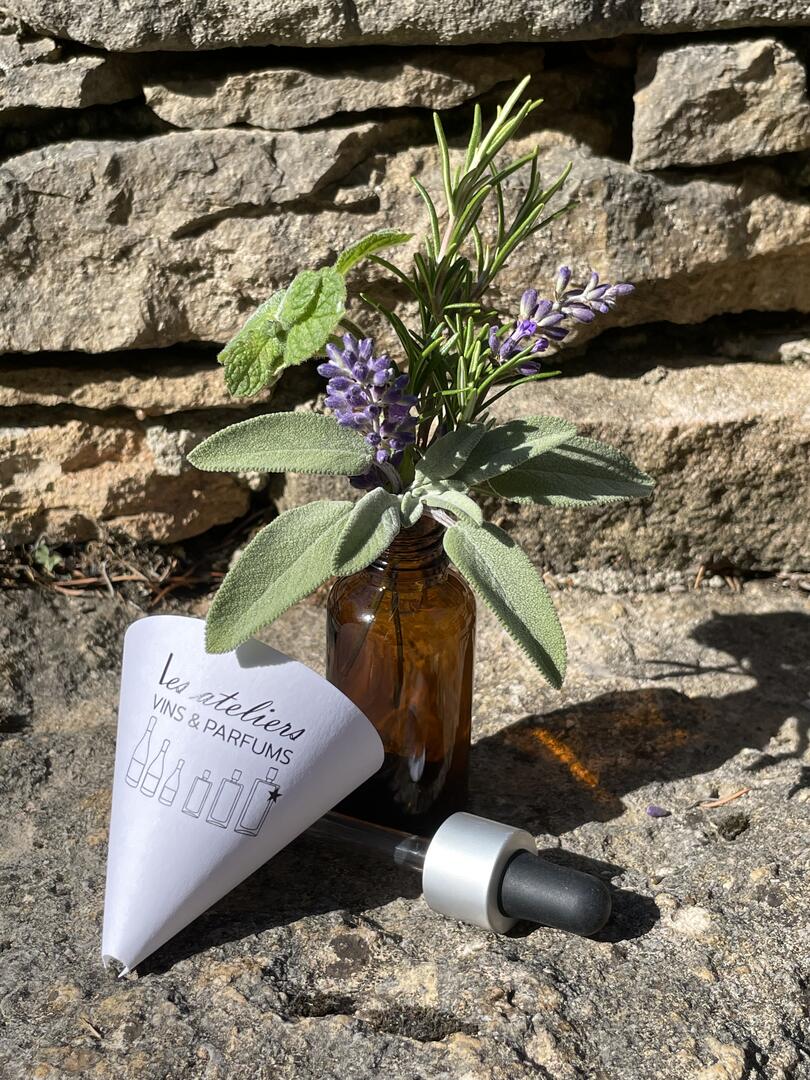 Ateliers Vins & Parfums