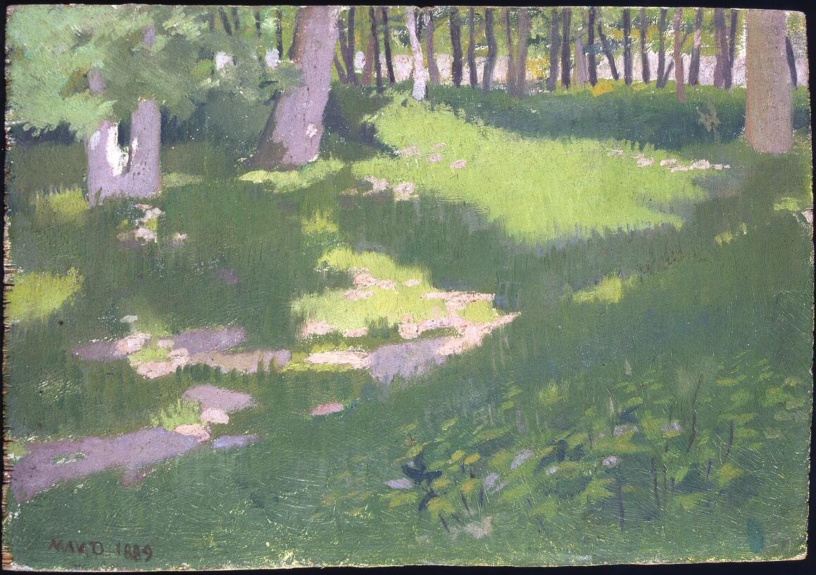 Atelier au Muséum "éclat du printemps"