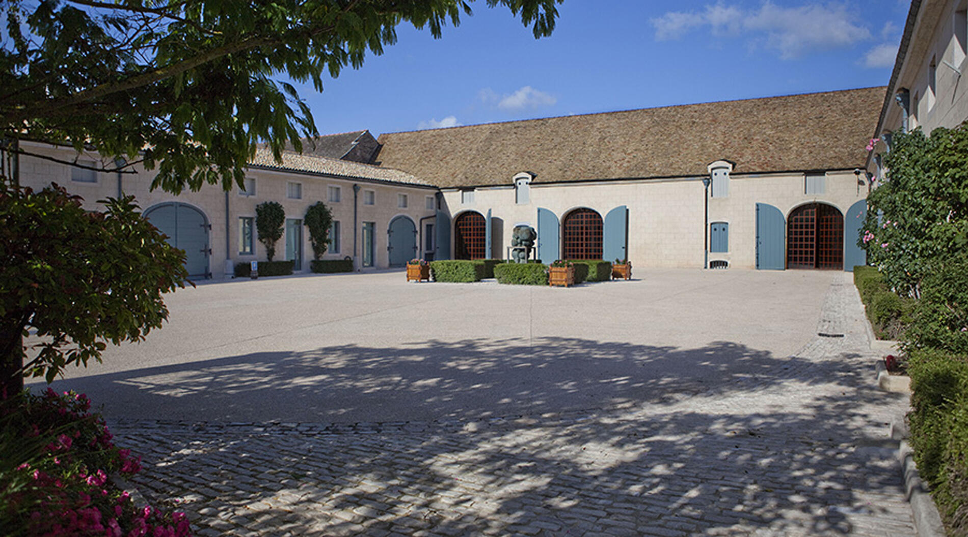 Cour