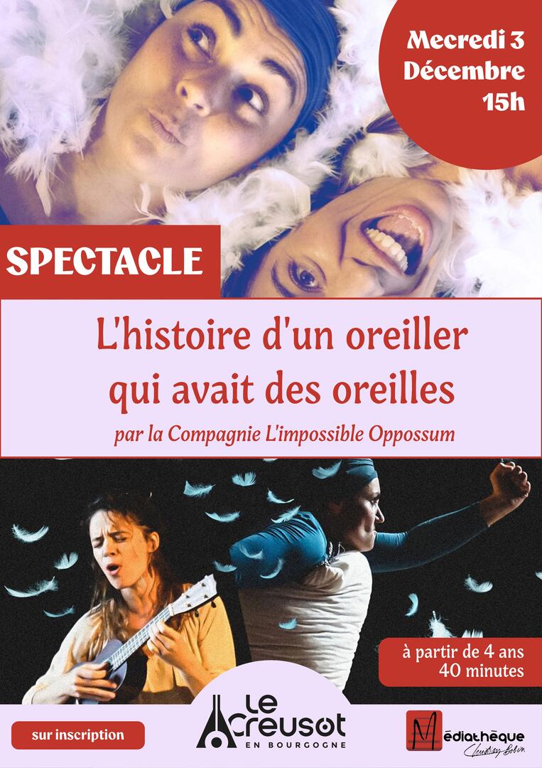 Histoire d'un oreiller qui avait des oreilles