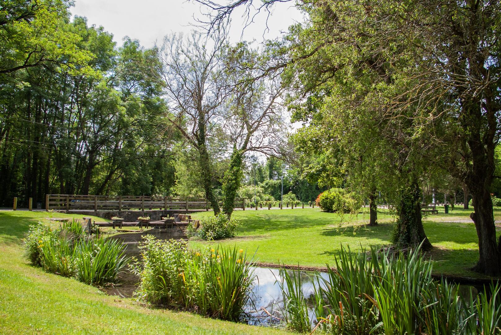 Parc Paysager