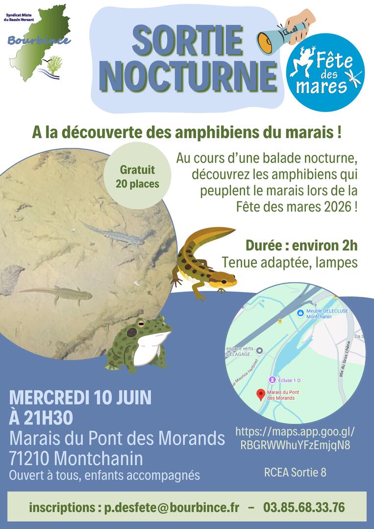 À la découverte des amphibiens du marais