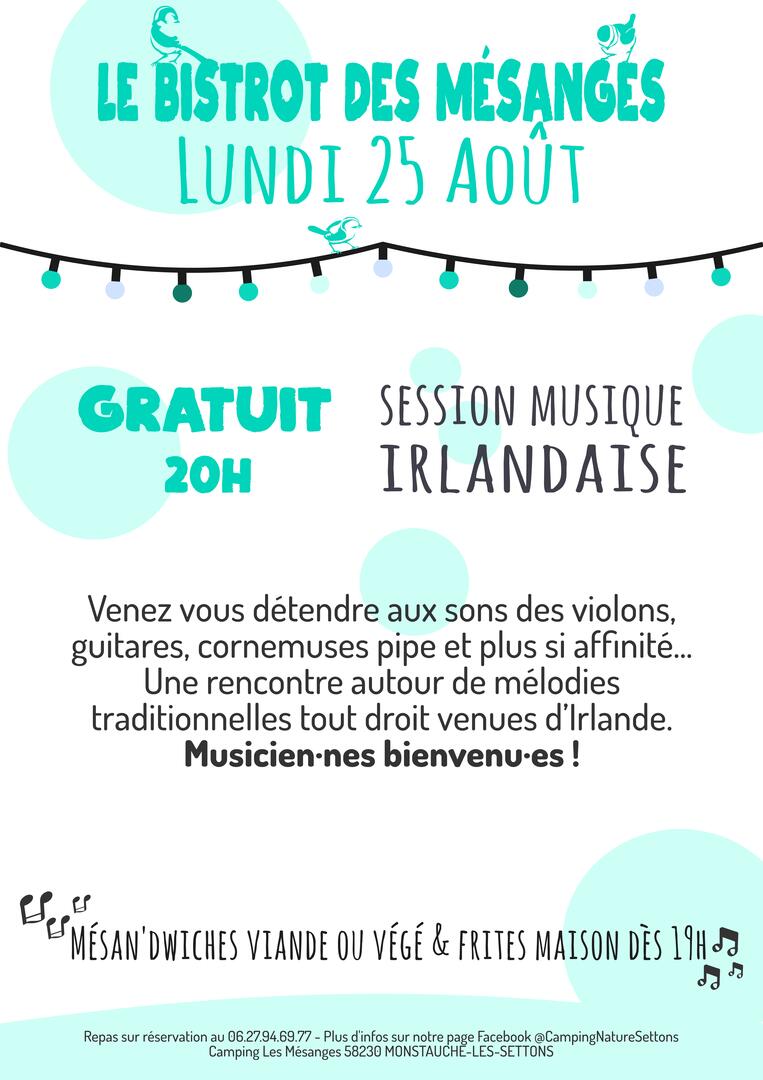 Session-musique-irlandaise