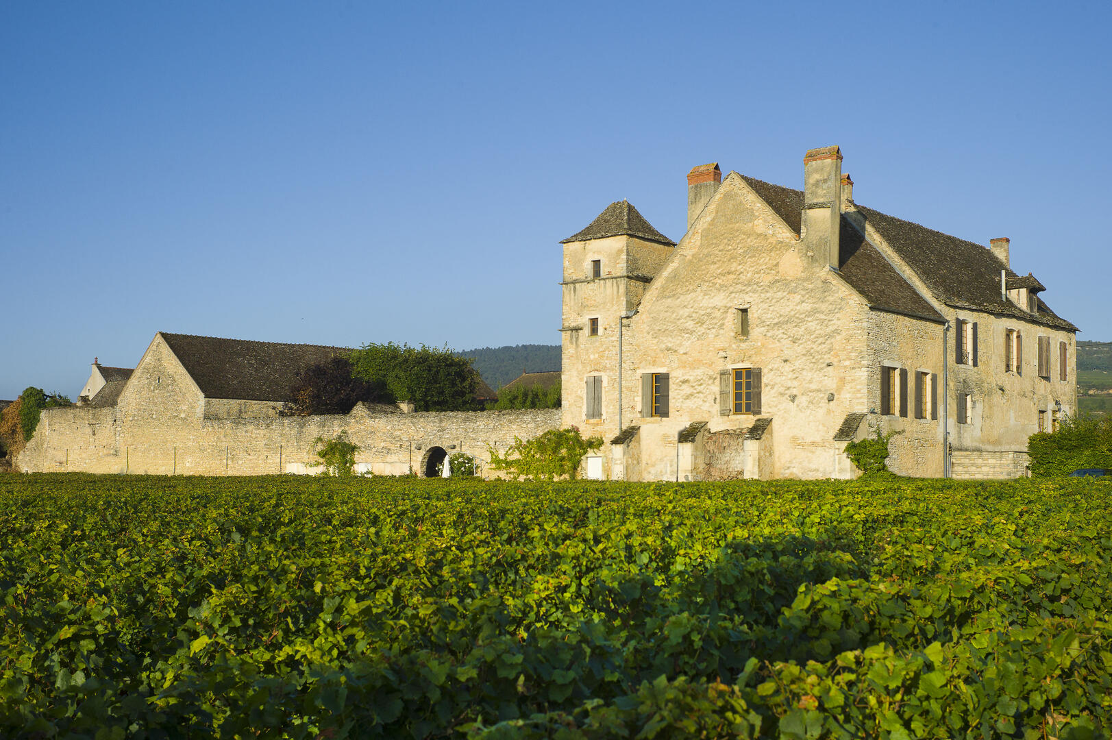 Château de la Velle et ses vignes