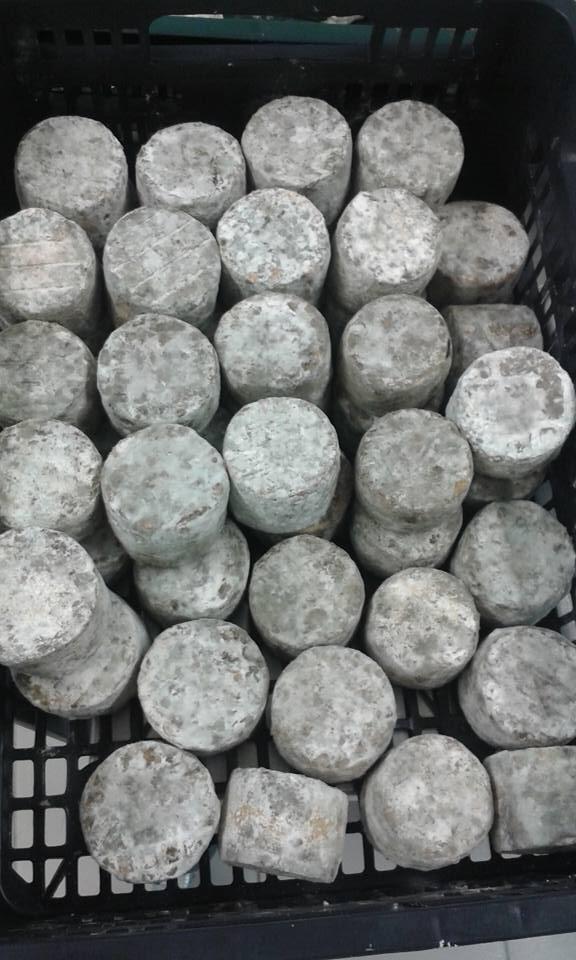fromage de chevre