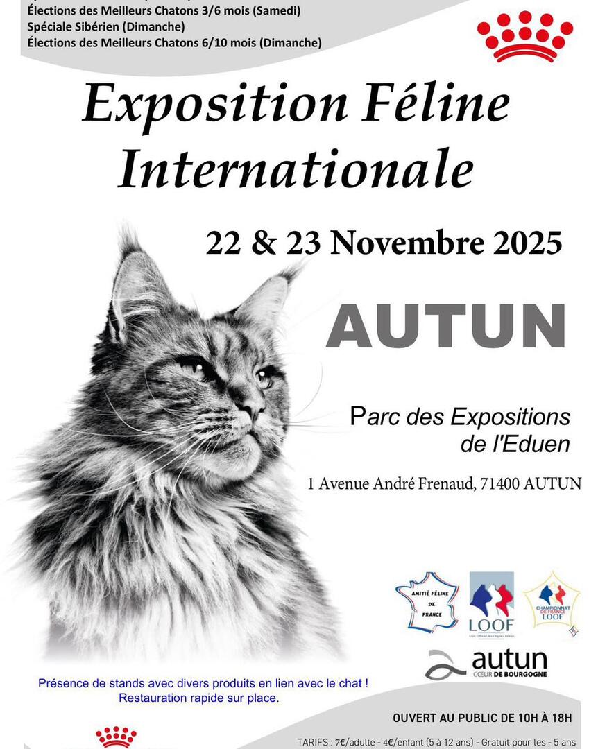 Affiche Autun