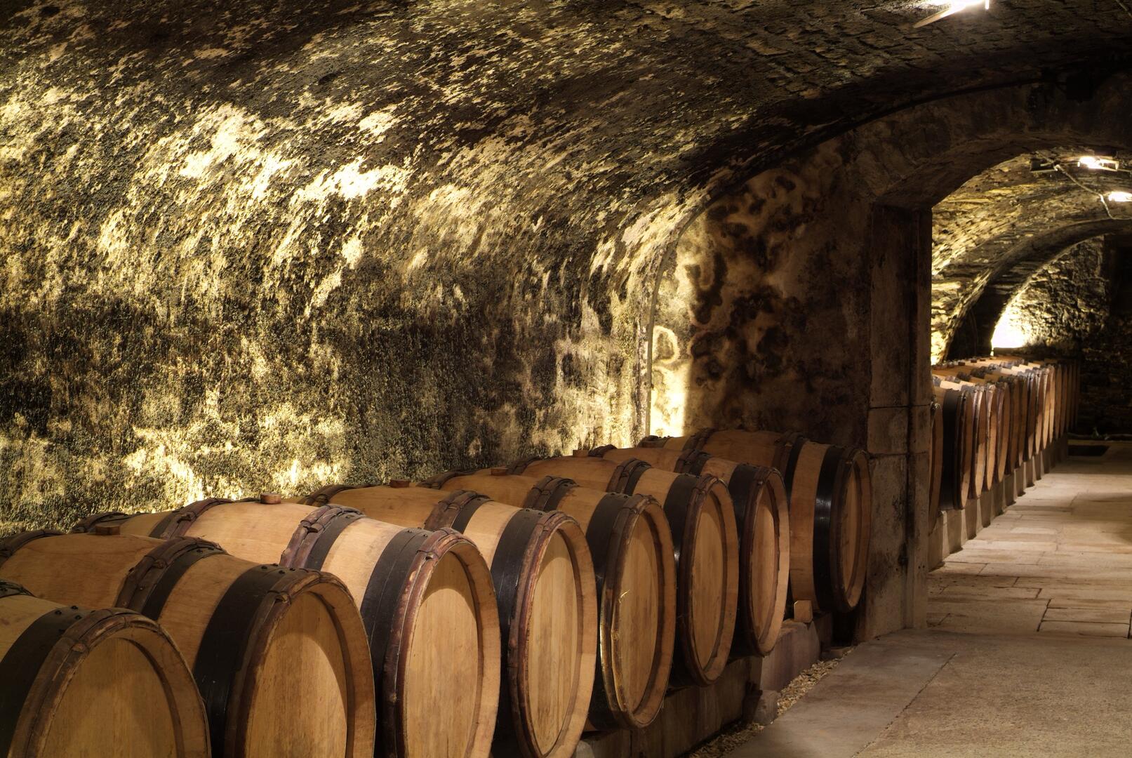 Caves de l'Hôtel-Dieu