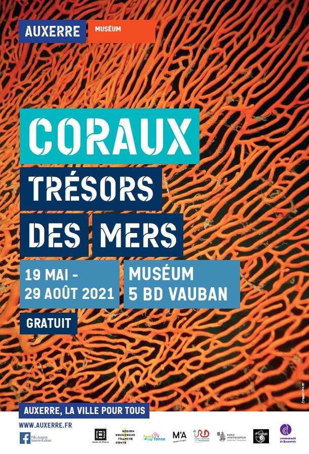 Coraux, trésors des mers