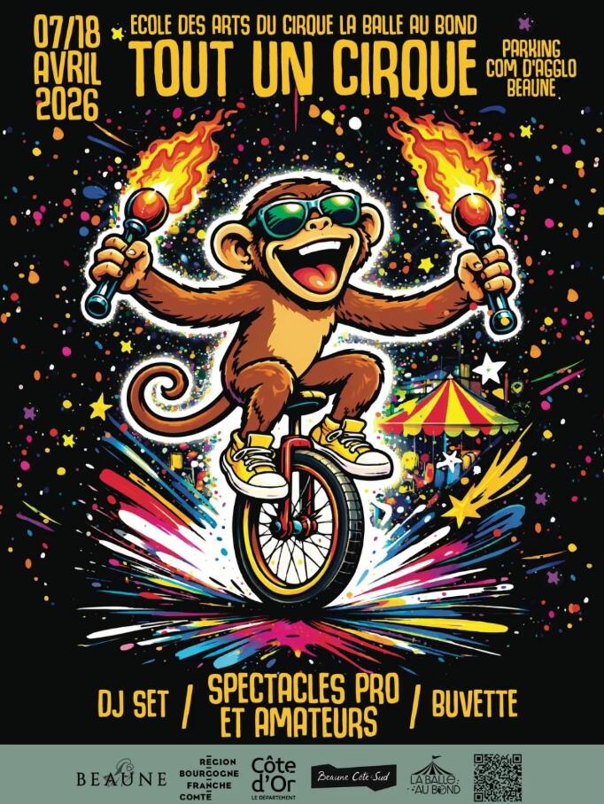 Ecole des arts du cirque La Balle au Bond